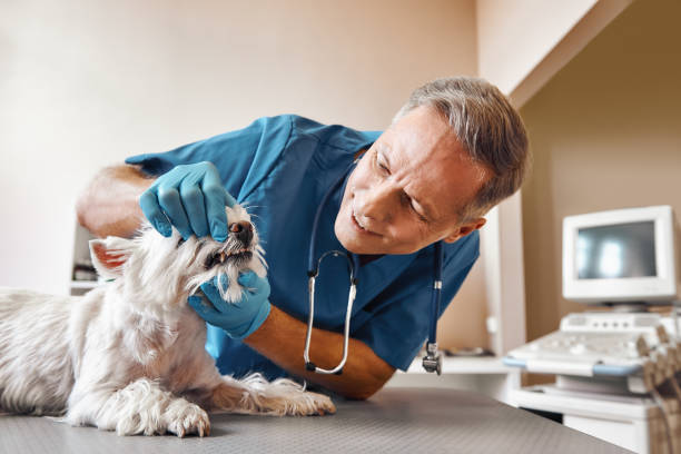 Best Emergency Tooth Extraction  in Arcanum, OH